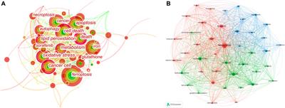 Bibliometric Evaluation of 2012–2020 Publications on Ferroptosis in Cancer Treatment